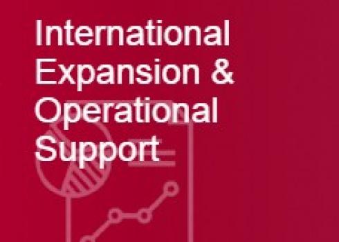 International Expansion & Operational Support