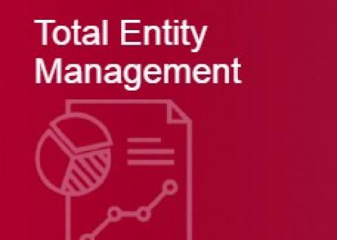 Total Entity Management